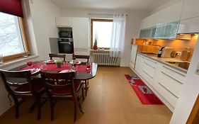 MITTEN im BAYERISCHEN WALD-95m² Wohnung + *NETFLIX* Direkt am Skilift!